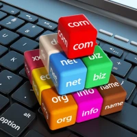 What You Need To Know When Registering A Domain Name